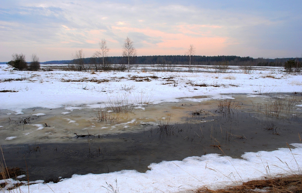 В середине апреля