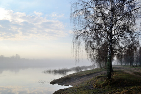 пробуждение природы