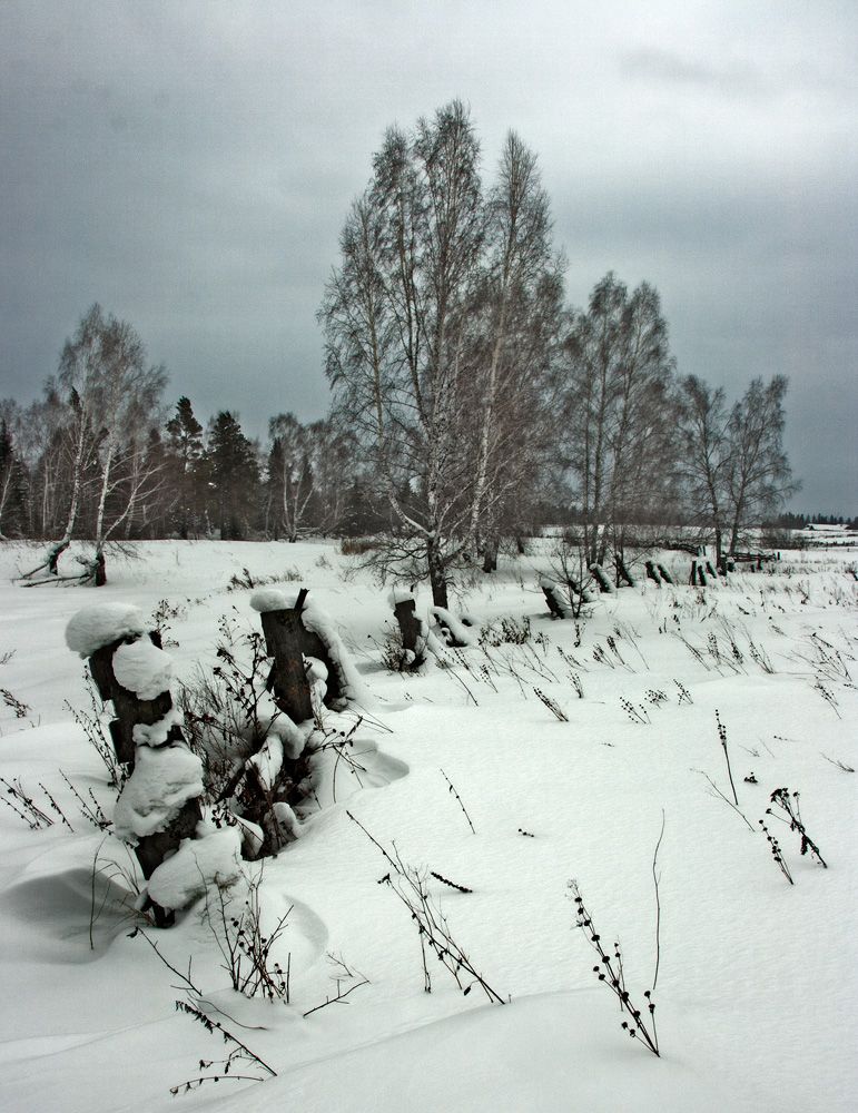 Забор