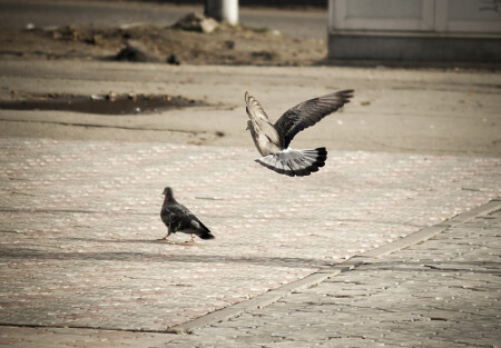 Иду на сближение