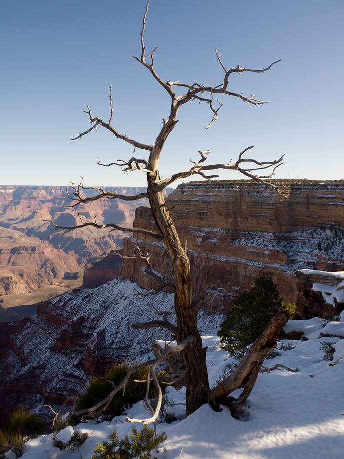 Grand Canyon