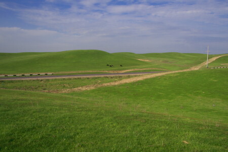 зеленые холмы