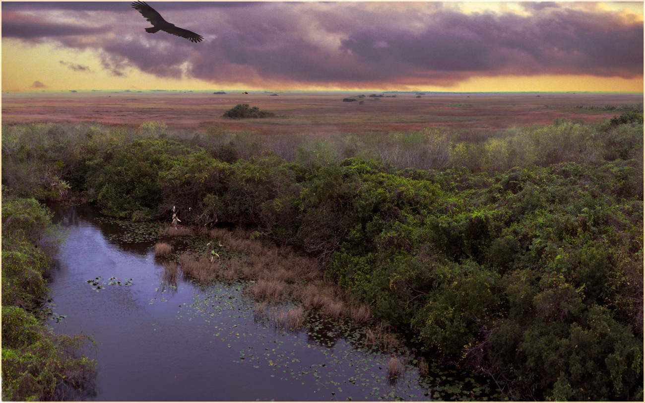 Everglades , Florida