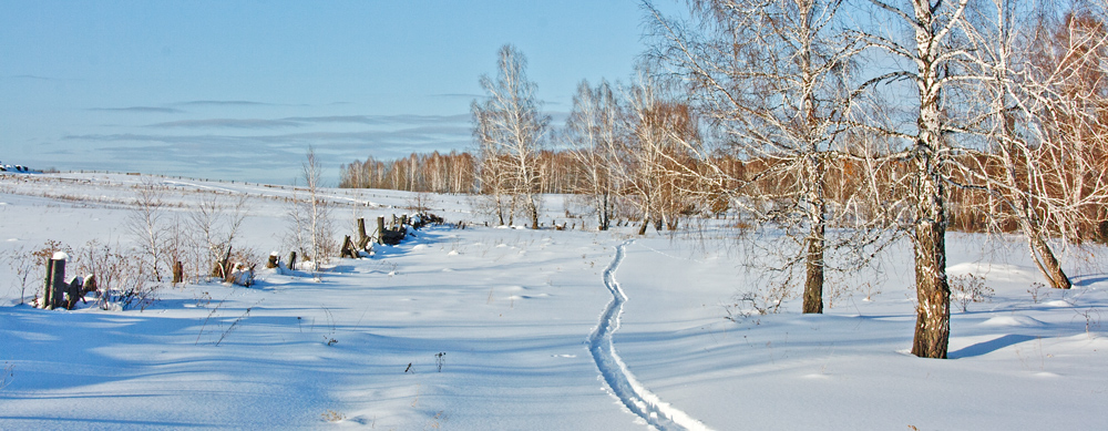 Лыжня