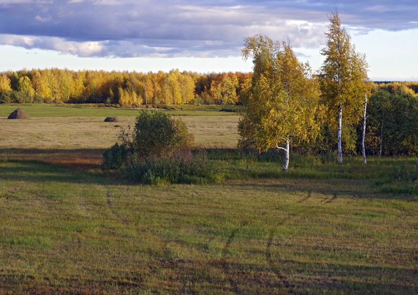 в пойме