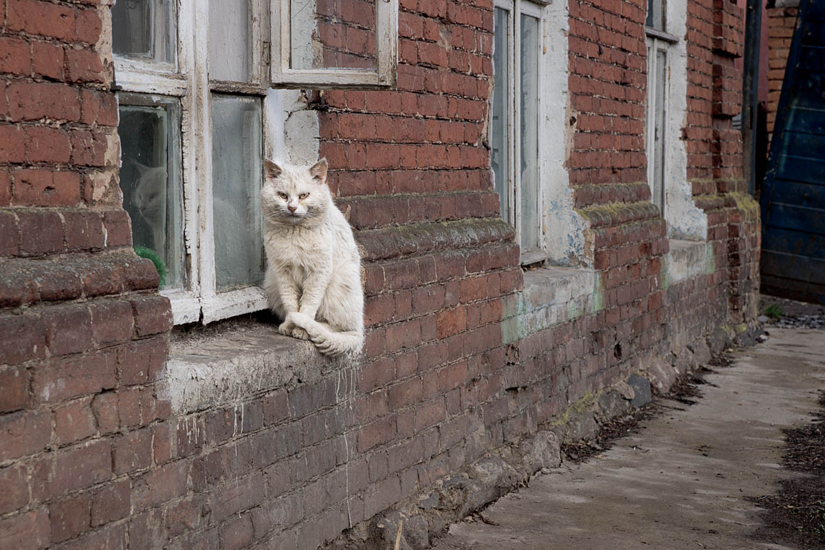 Будете проходить мимо - проходите...