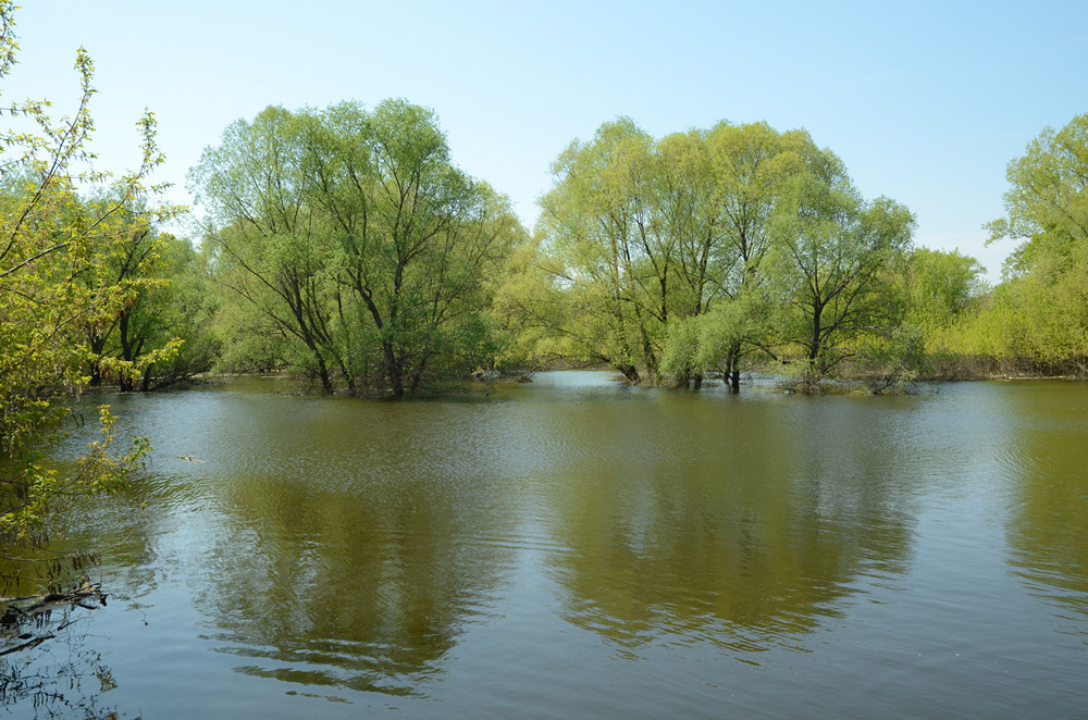 Большая вода - 10