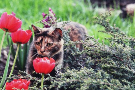 Без названия #1