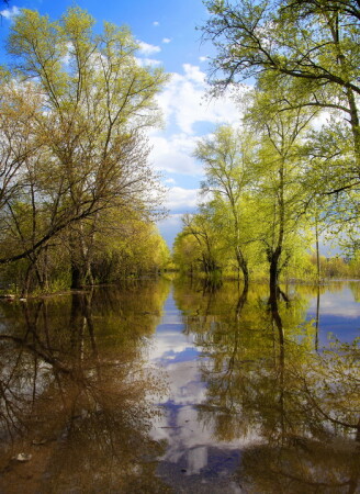 Весна на борской улице