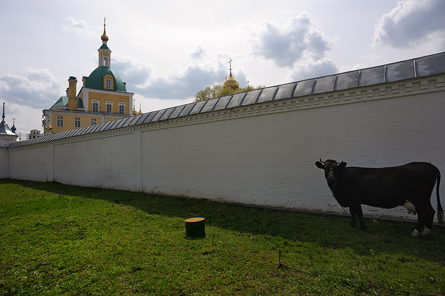 Майским днём в Переславле