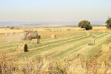 уборка хлеба