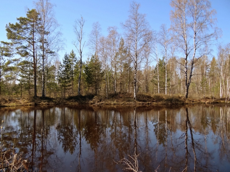 Весна. Пейзаж