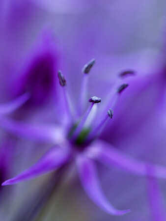 ultraviolet