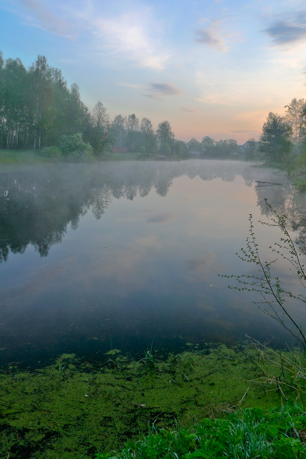 утреннее спокойствие