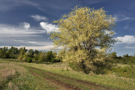 Дорожная