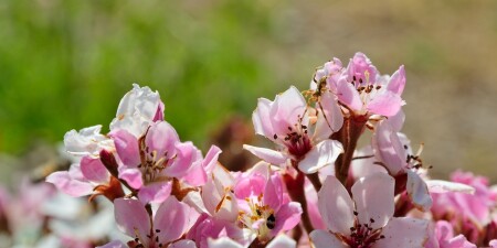 весенняя жизнь!