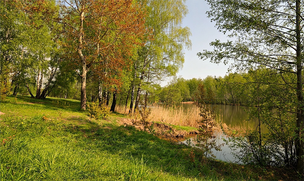 Весенняя свежесть утра