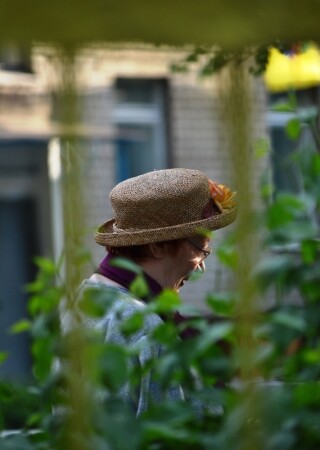 Майские дни