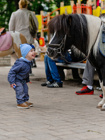ох уж эти детки...