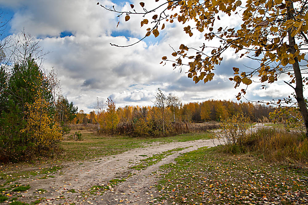 Прогулка