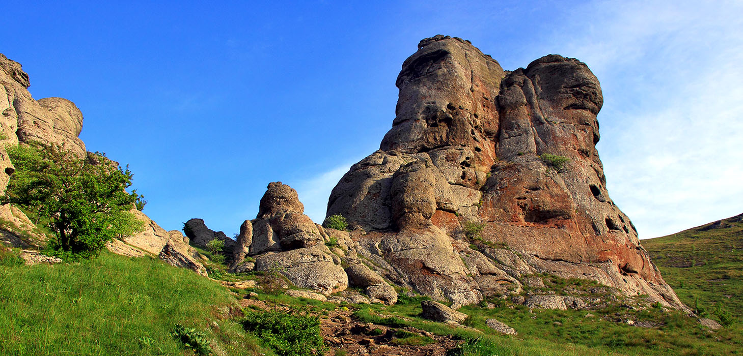 Сфинкс Демерджийский в фас