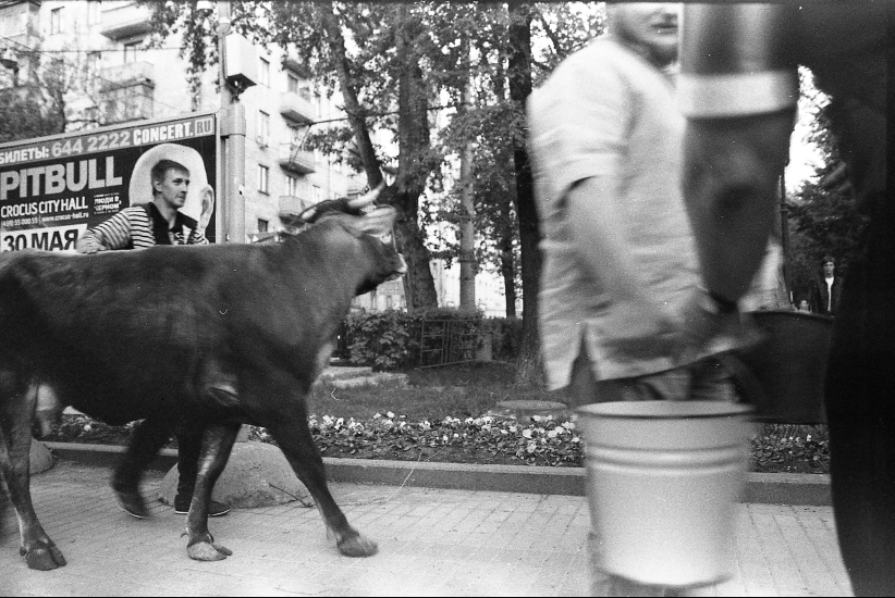 Пит и bull