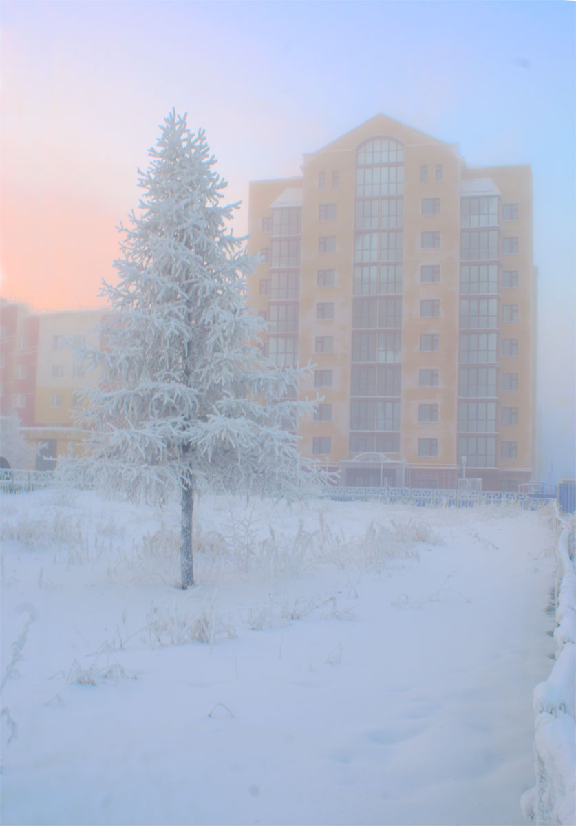 полдень зимой