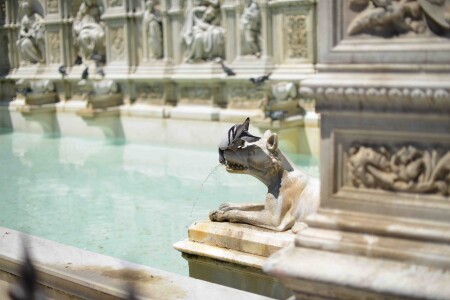 Городской оазис