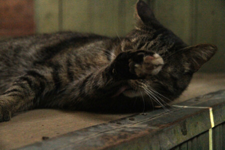 Не хочу я видеть всё это!