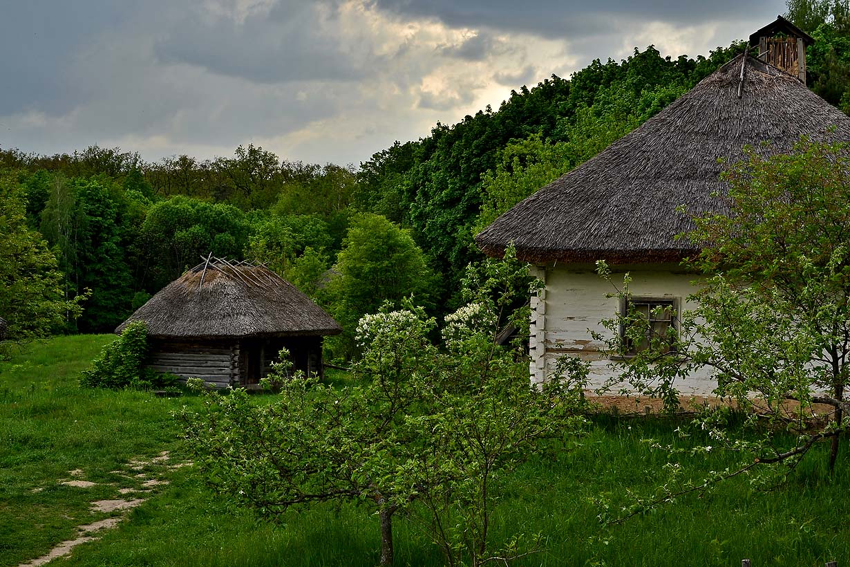 На краю села, под лесом