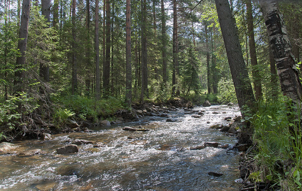 Весна на горной речке