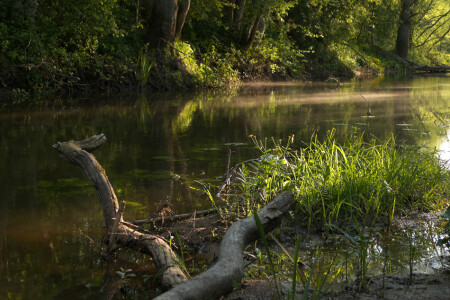 На речке, утром ранним