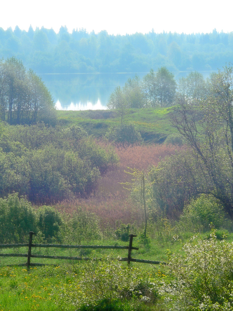 Краски утра