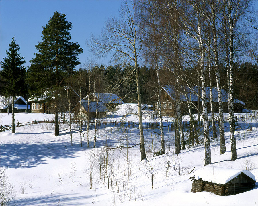 Весеннее солнце.