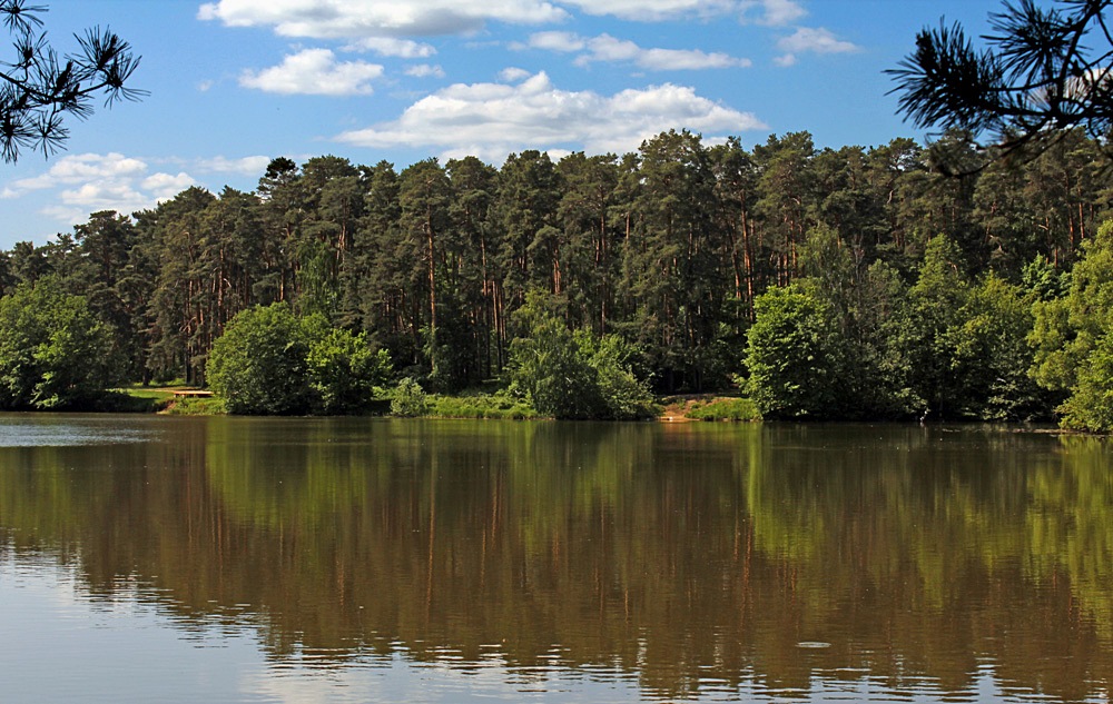 Майским днём