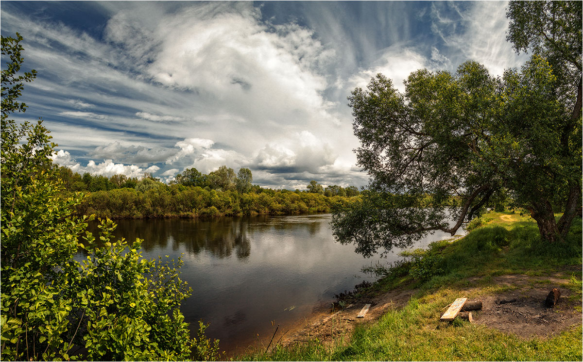 У ивы на реке