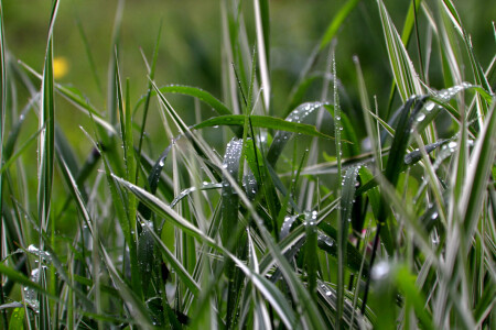 После дождя