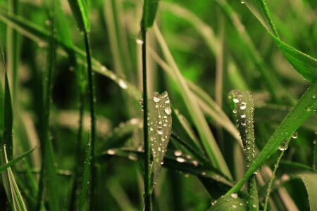 После дождя