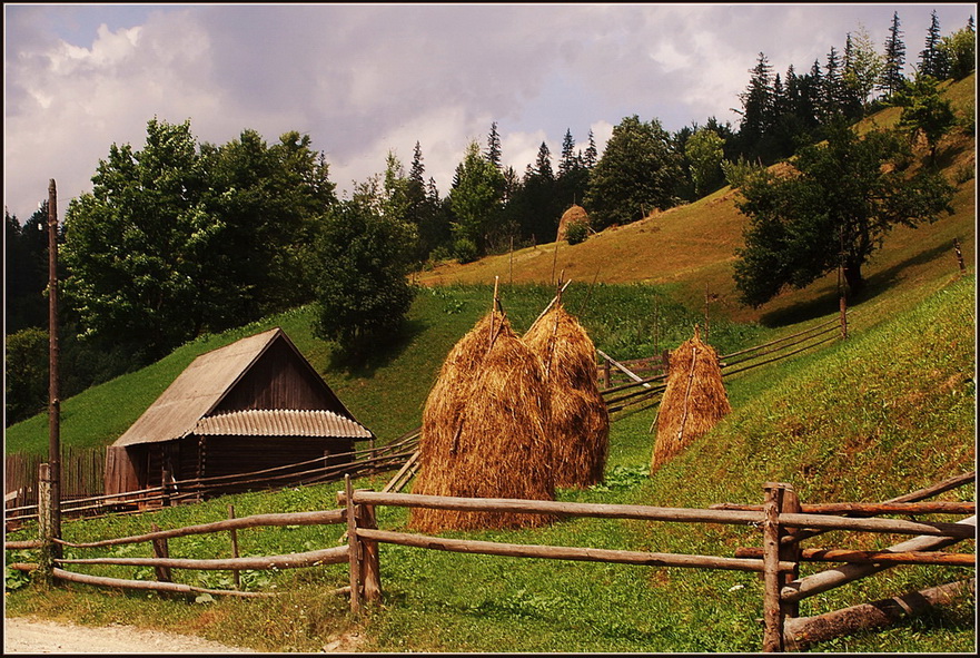 Летняя картинка