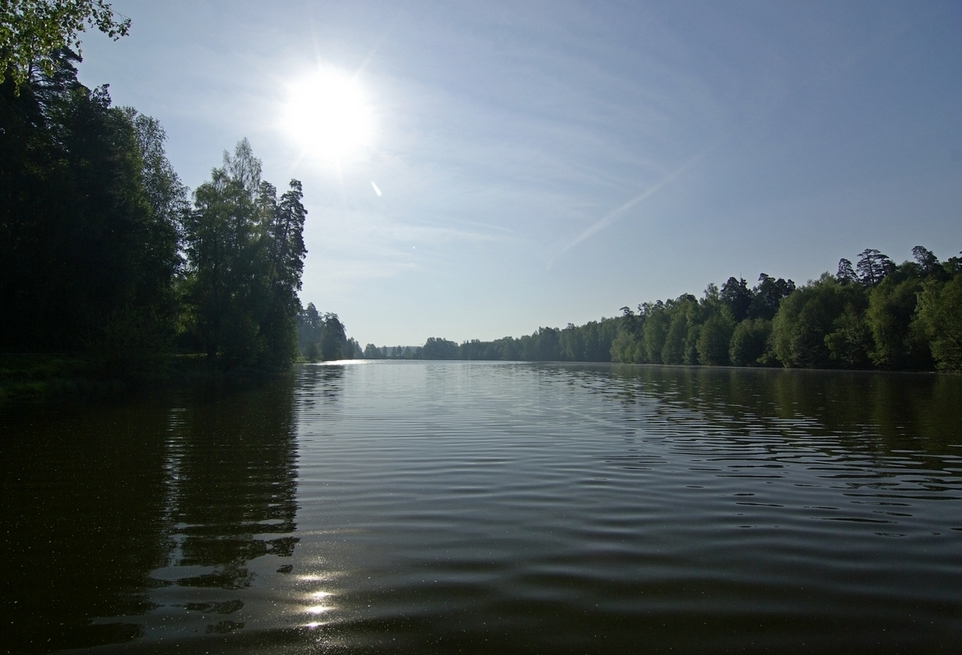 Алексеевский пруд.