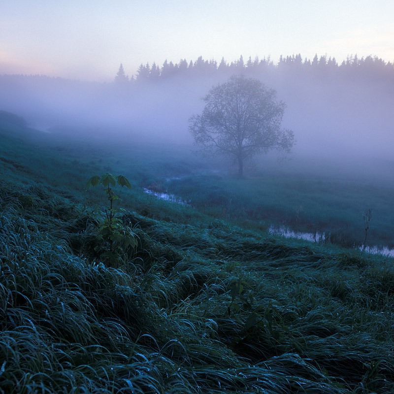 639-HB-120601-Velvia50-005.jpg