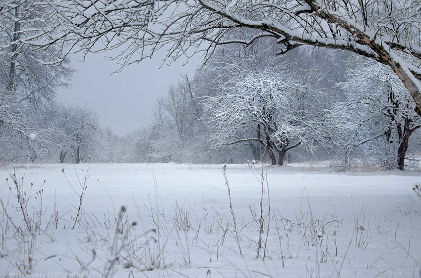 самурайская зима