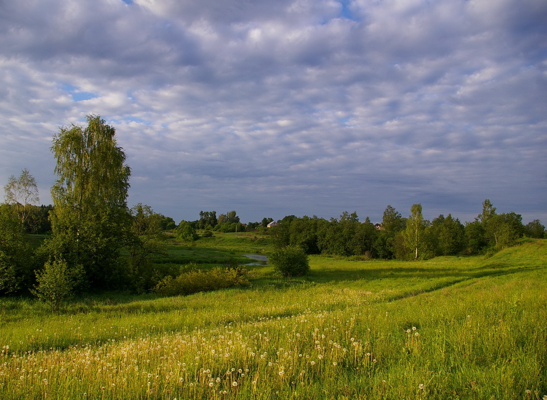 по дороге в Барское-Мелечкино