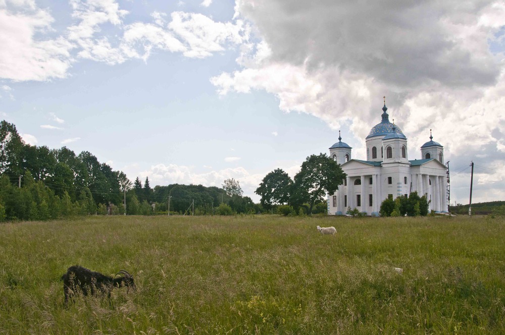 Родное село