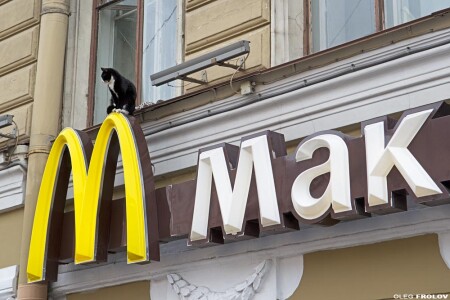 Питерский МакКот