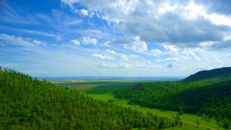Широкий лог