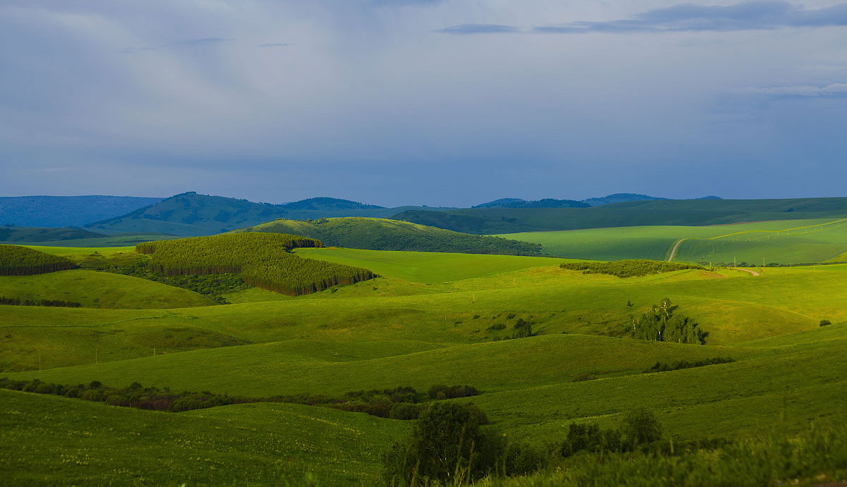 В предгорье Алтая