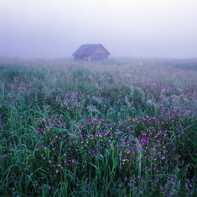 646-HB-120610-Velvia50-009