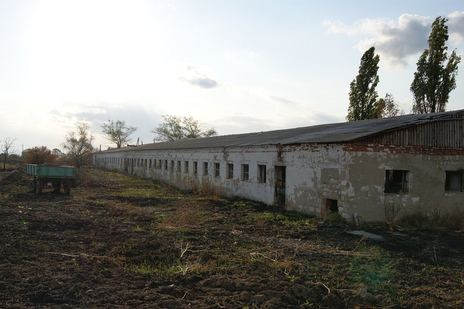 Теперь масло хуже и дороже...