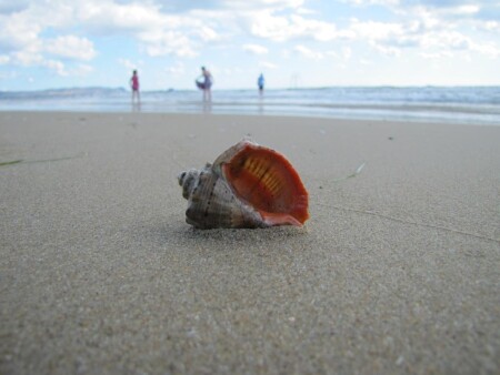 тёплое воспоминание